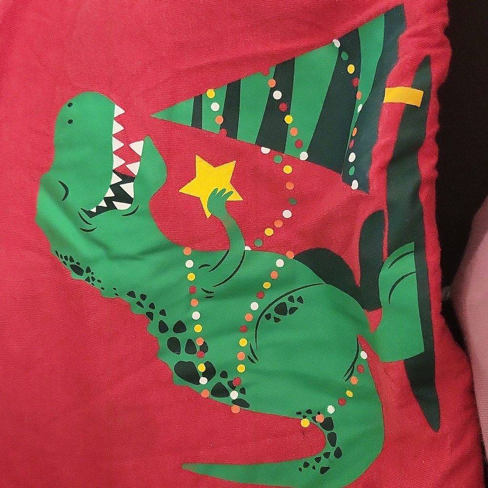 Cat and Jack dinosaur Santa